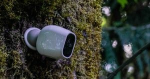 secruity camera on the tree