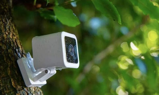 security camera mounted on a tree outside