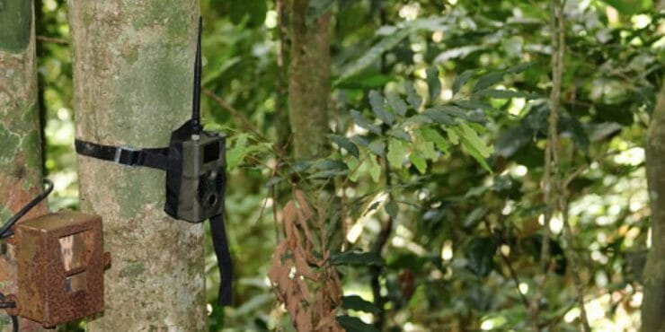DIY Trail Camera Security Box (Guide With Images)
