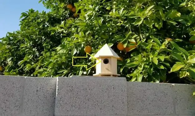 birds house