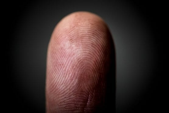 fingerprint