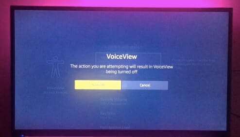 voice view