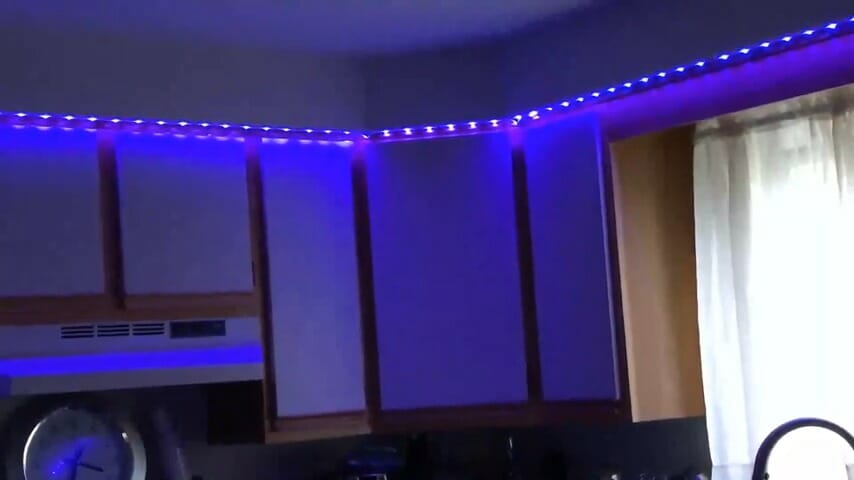 purple light in a room