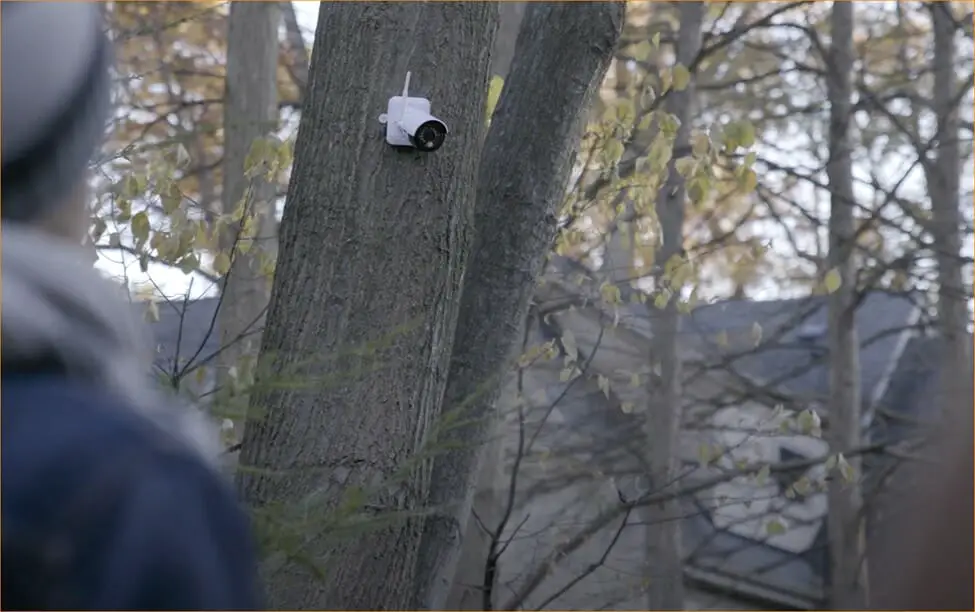 cctv mounted on a tree