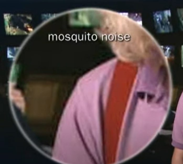 mosquito noise in security camera