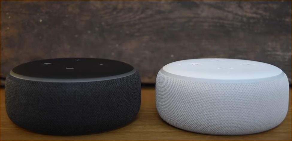 alexa device in color black and white